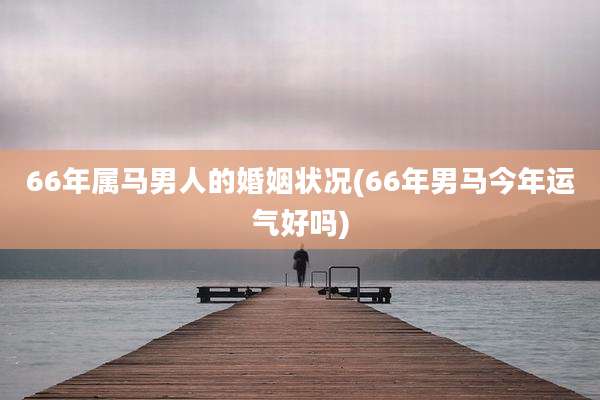 66年属马男人的婚姻状况(66年男马今年运气好吗)