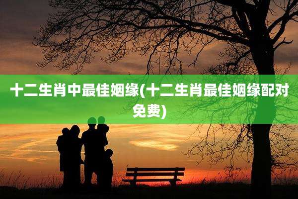 十二生肖中最佳姻缘(十二生肖最佳姻缘配对免费)