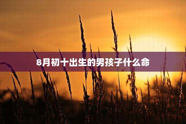 8月初十出生的男孩子什么命