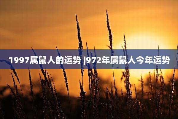 1997属鼠人的运势 |972年属鼠人今年运势