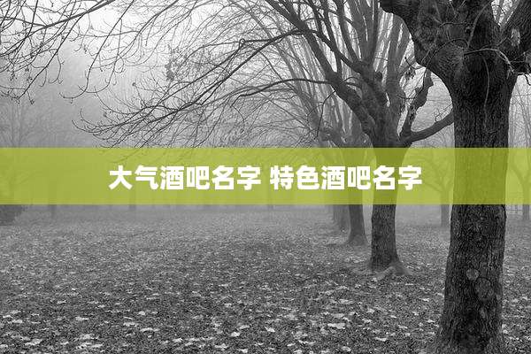 大气酒吧名字 特色酒吧名字