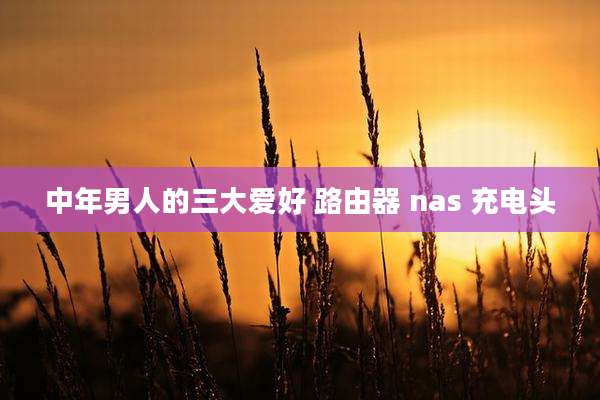 中年男人的三大爱好 路由器 nas 充电头