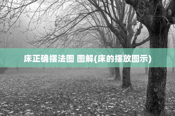 床正确摆法图 图解(床的摆放图示)