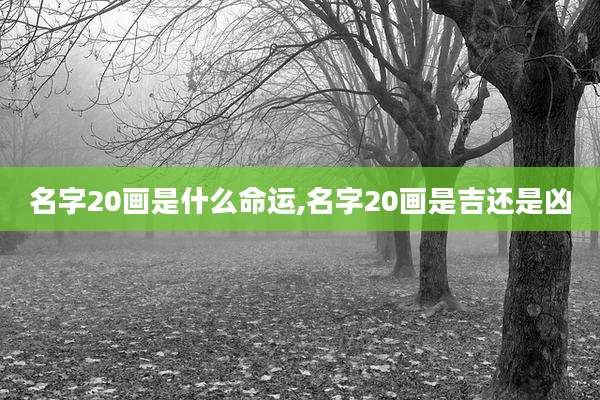 名字20画是什么命运,名字20画是吉还是凶