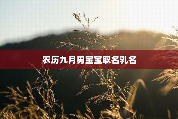 农历九月男宝宝取名乳名