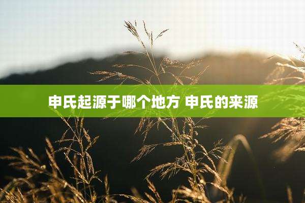 申氏起源于哪个地方 申氏的来源