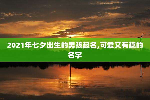 2021年七夕出生的男孩起名,可爱又有趣的名字