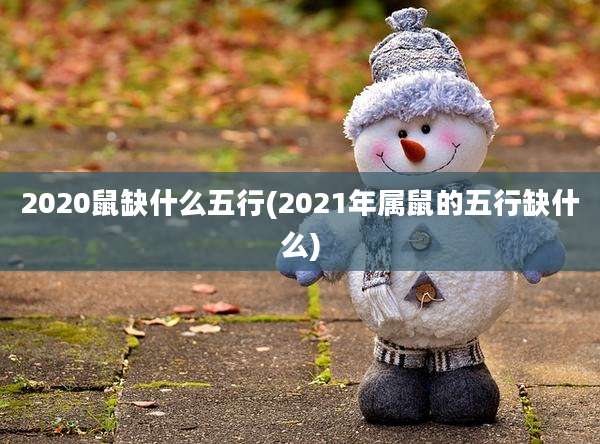 2020鼠缺什么五行(2021年属鼠的五行缺什么)