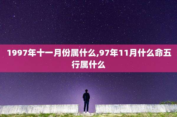 1997年十一月份属什么,97年11月什么命五行属什么