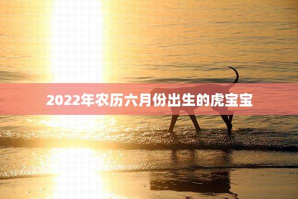 2022年农历六月份出生的虎宝宝