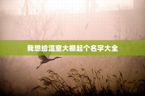 我想给温室大棚起个名字大全
