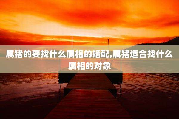 属猪的要找什么属相的婚配,属猪适合找什么属相的对象