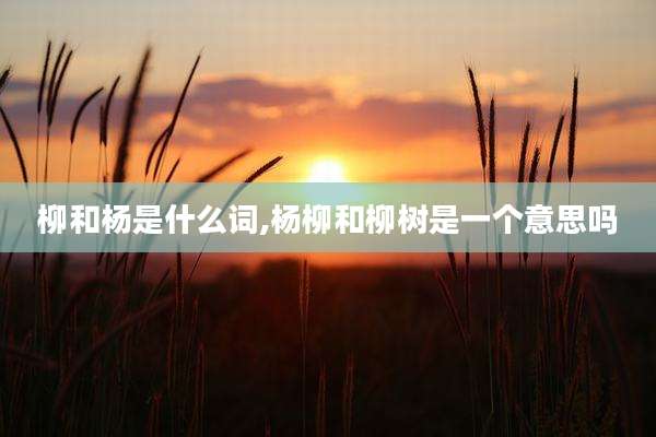 柳和杨是什么词,杨柳和柳树是一个意思吗