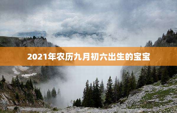 2021年农历九月初六出生的宝宝