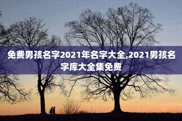 免费男孩名字2021年名字大全,2021男孩名字库大全集免费