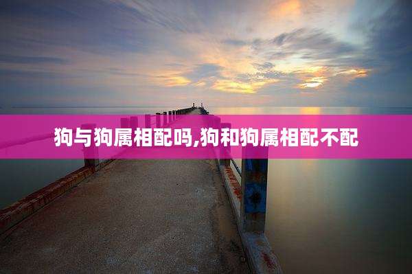 狗与狗属相配吗,狗和狗属相配不配