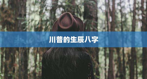 川普的生辰八字
