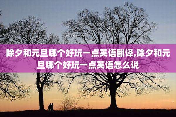 除夕和元旦哪个好玩一点英语翻译,除夕和元旦哪个好玩一点英语怎么说