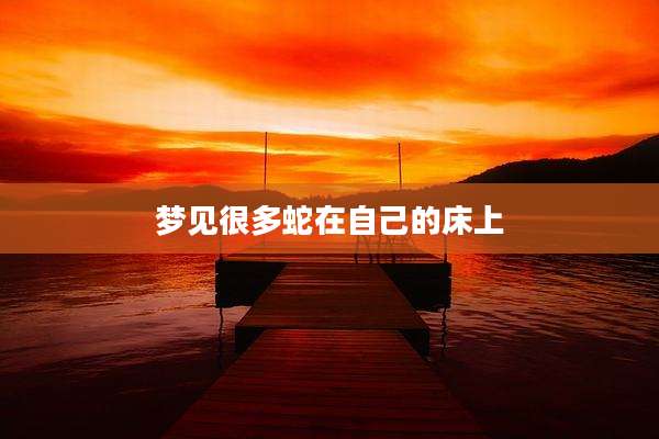 梦见很多蛇在自己的床上