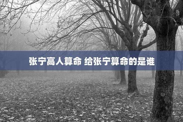 张宁高人算命 给张宁算命的是谁