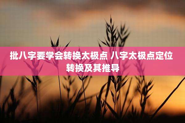 批八字要学会转换太极点 八字太极点定位 转换及其推导