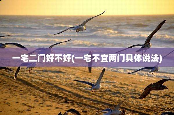 一宅二门好不好(一宅不宜两门具体说法)