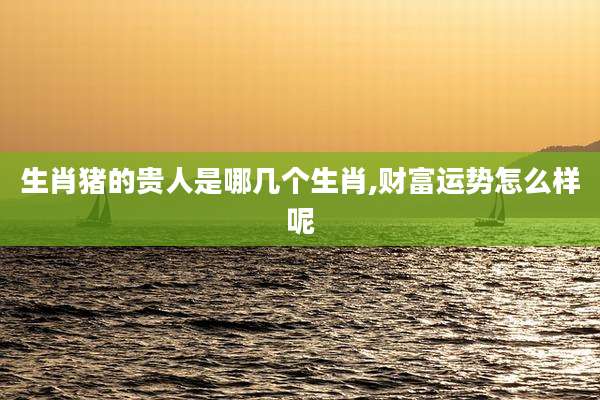 生肖猪的贵人是哪几个生肖,财富运势怎么样呢