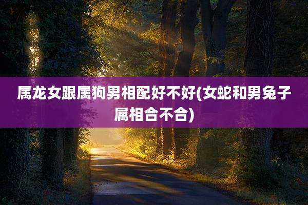 属龙女跟属狗男相配好不好(女蛇和男兔子属相合不合)