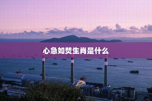 心急如焚生肖是什么