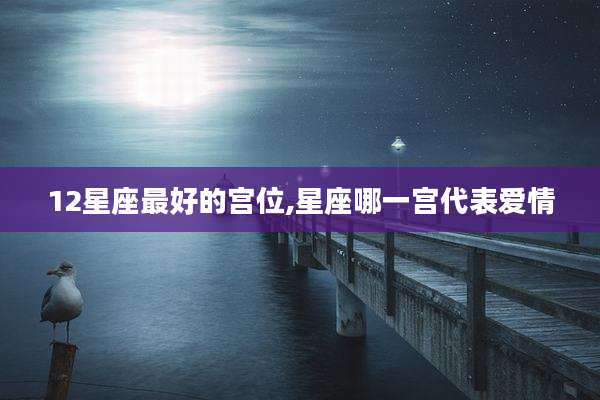 12星座最好的宫位,星座哪一宫代表爱情