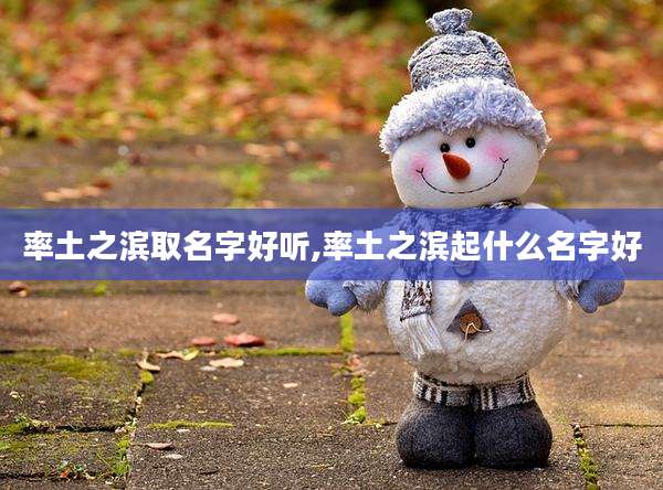 率土之滨取名字好听,率土之滨起什么名字好
