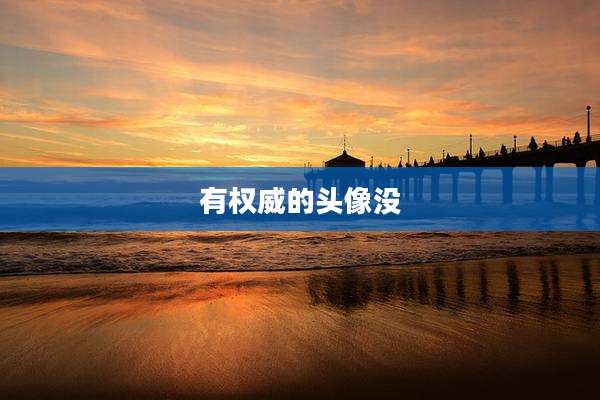 有权威的头像没