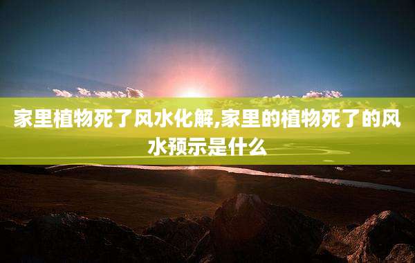 家里植物死了风水化解,家里的植物死了的风水预示是什么