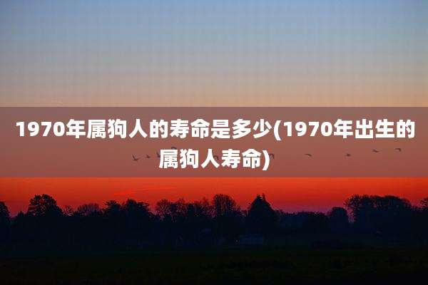 1970年属狗人的寿命是多少(1970年出生的属狗人寿命)