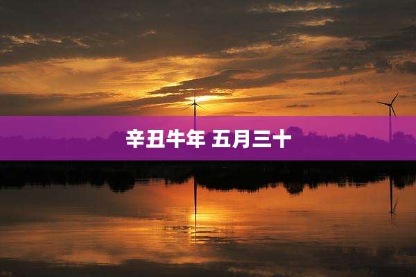辛丑牛年 五月三十