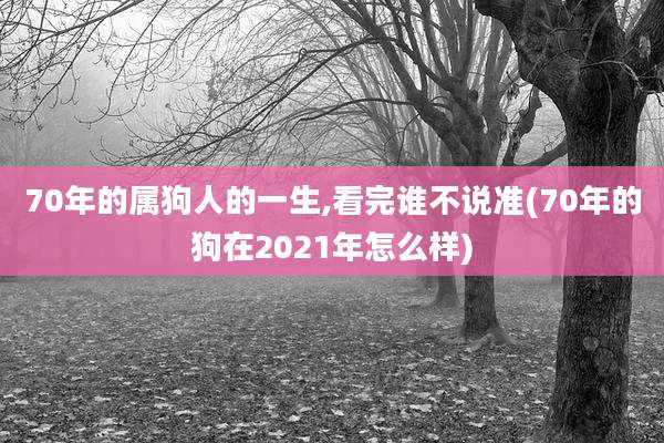 70年的属狗人的一生,看完谁不说准(70年的狗在2021年怎么样)