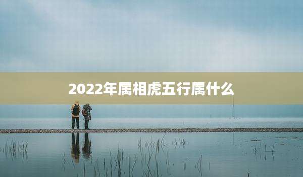 2022年属相虎五行属什么