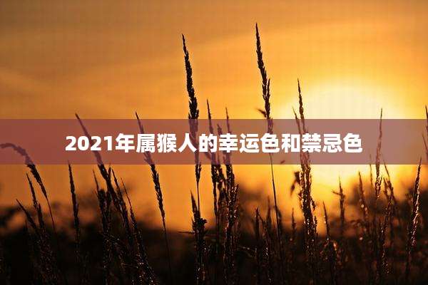 2021年属猴人的幸运色和禁忌色