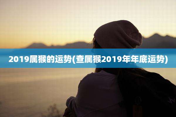2019属猴的运势(查属猴2019年年底运势)