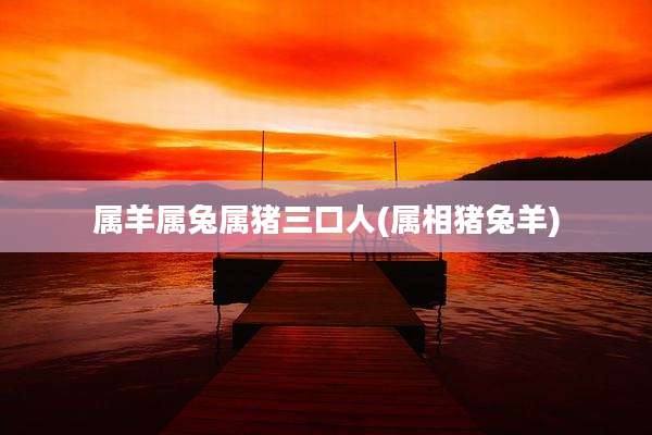 属羊属兔属猪三口人(属相猪兔羊)