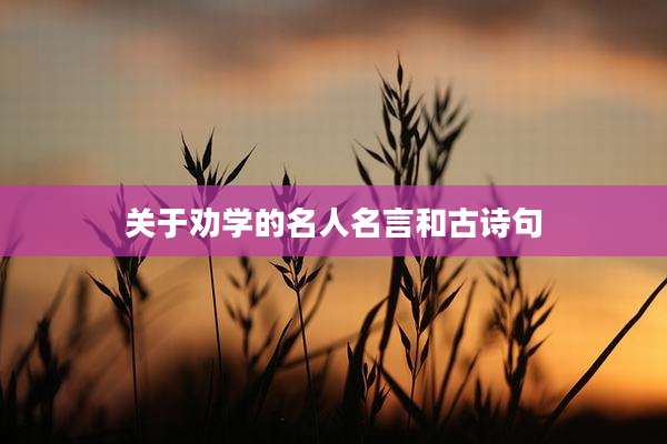关于劝学的名人名言和古诗句