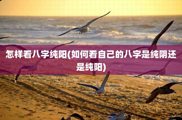 怎样看八字纯阳(如何看自己的八字是纯阴还是纯阳)