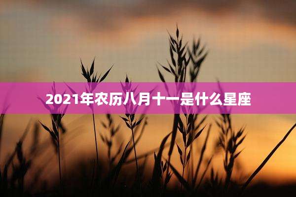 2021年农历八月十一是什么星座