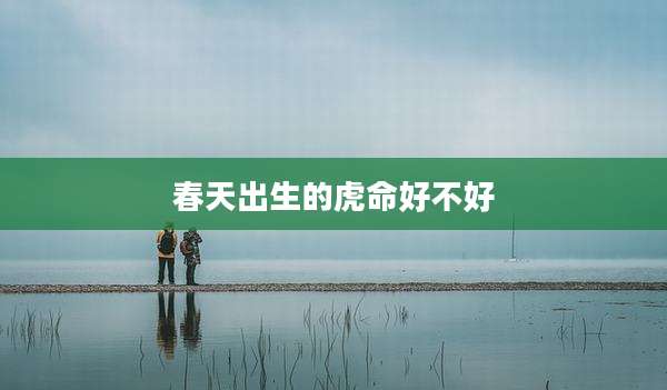 春天出生的虎命好不好