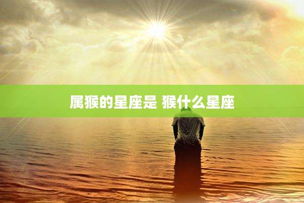 属猴的星座是 猴什么星座