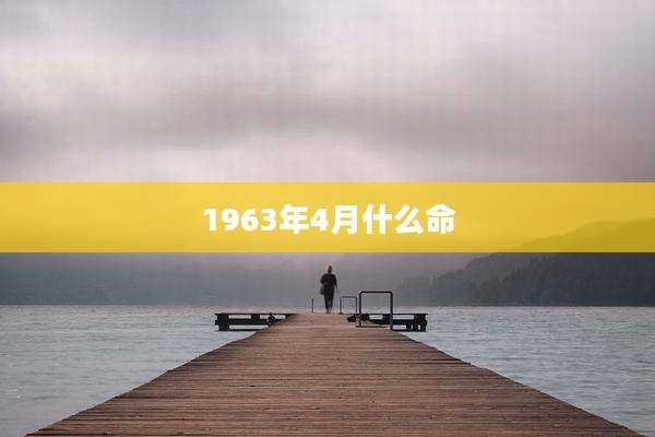 1963年4月什么命