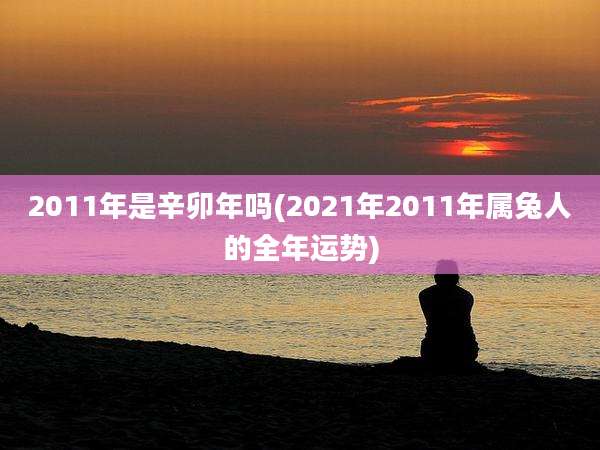 2011年是辛卯年吗(2021年2011年属兔人的全年运势)