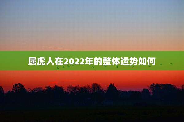 属虎人在2022年的整体运势如何