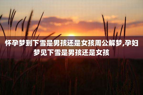 怀孕梦到下雪是男孩还是女孩周公解梦,孕妇梦见下雪是男孩还是女孩