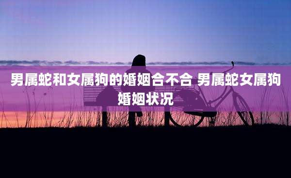 男属蛇和女属狗的婚姻合不合 男属蛇女属狗婚姻状况